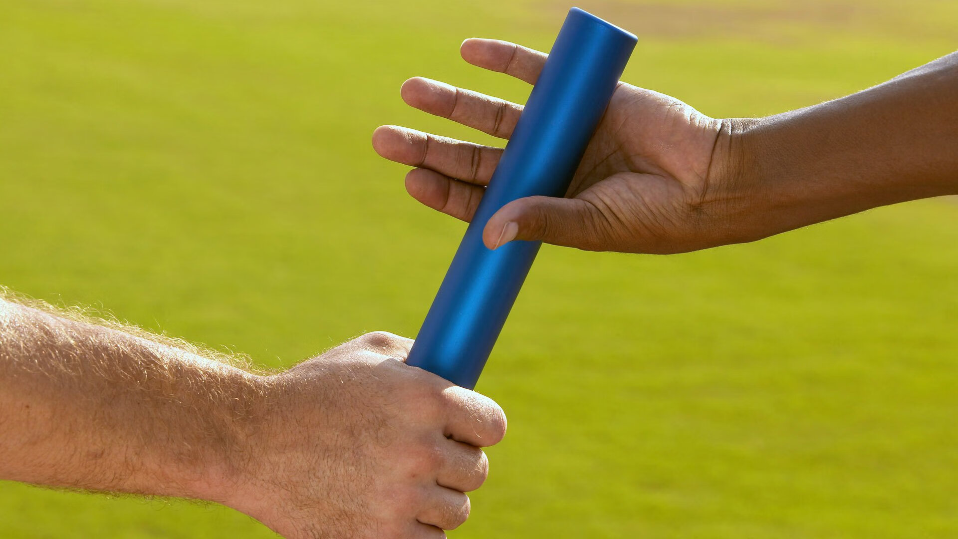 绿色材料广泛应用，未来体育设施环保可持续发展，绿色体育场馆