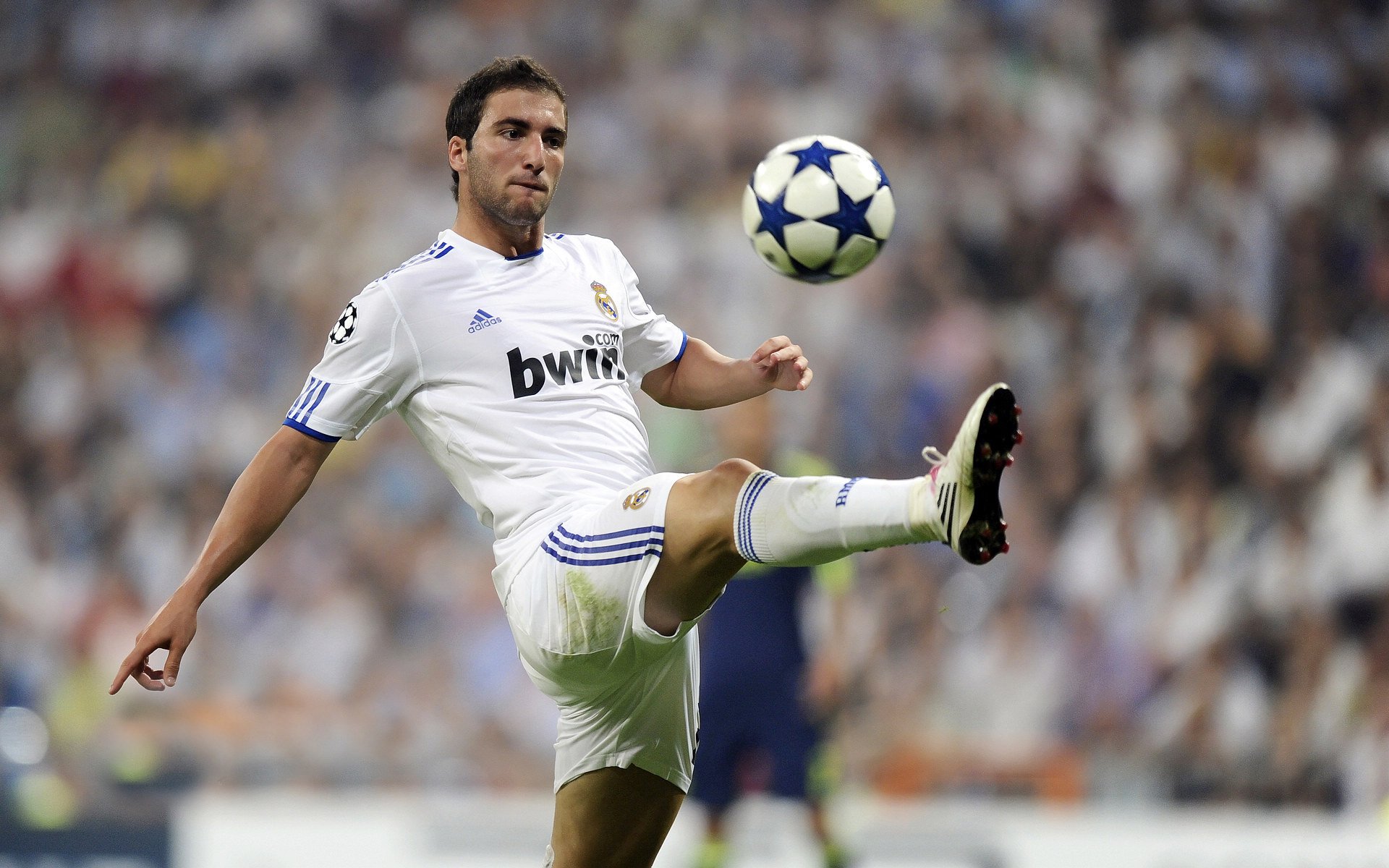 美洲杯明星巡演：技能绝活震撼全场！，美洲杯谁出线了